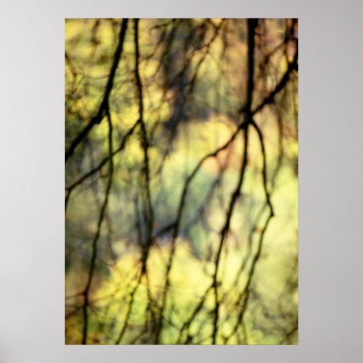Abstracte bomen poster (Voorkant)