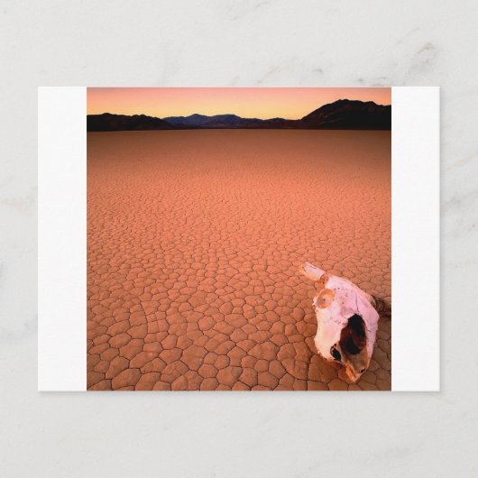 Abstracte Bone Dry Death Valley Briefkaart (Voorkant)