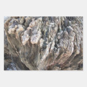 Abstracte boomschors inpakpapier vel (Voorkant)