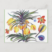 Abstracte botanische bloktekenkaart briefkaart (Voorkant)