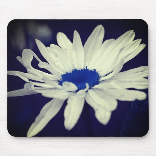 Abstracte Daisy Blue Center Flower Art Muismat (Voorkant)