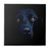 Abstracte Dark Dog Tegeltje (Voorkant)
