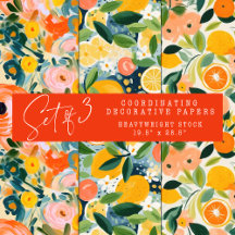 ABSTRACTE DECORATIEVE PAPIERSET VAN CITRUS EN BLOE