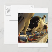 Abstracte dierduivenbericht briefkaart (Voorkant / Achterkant)