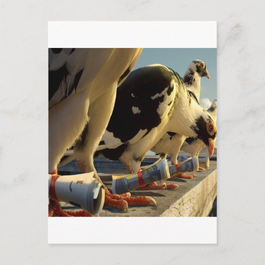 Abstracte dierduivenbericht briefkaart (Voorkant)