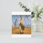 Abstracte dieren Kangaroo Baby Shock Briefkaart (Staand voorkant)