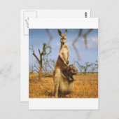 Abstracte dieren Kangaroo Baby Shock Briefkaart (Voorkant / Achterkant)