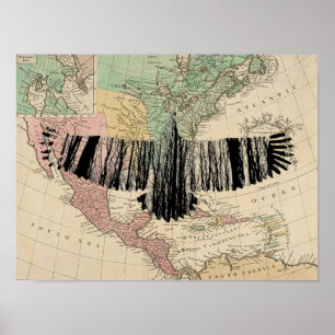 Abstracte Eagle Tree Silhouettes USA Map Poster