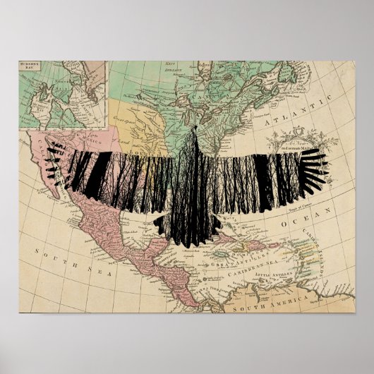 Abstracte Eagle Tree Silhouettes USA Map Poster (Voorkant)