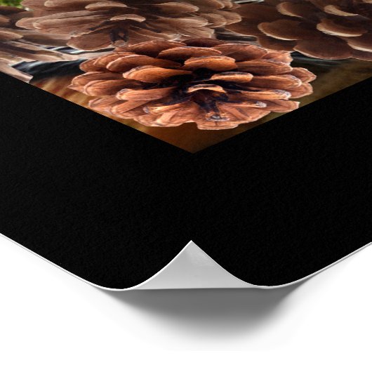 Abstracte eekhoorn met Pinecones Poster (Hoek)