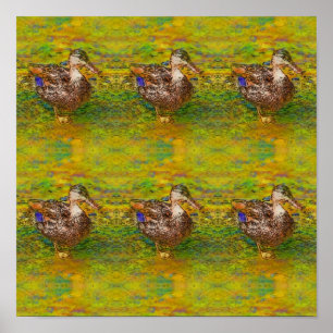 Abstracte eenden in een roodkleurige foto-schets poster