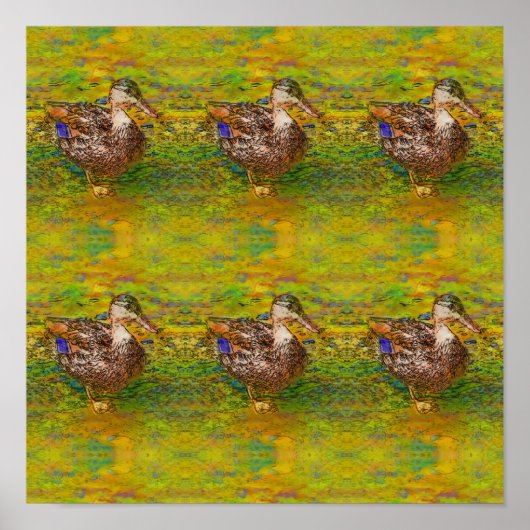 Abstracte eenden in een roodkleurige foto-schets poster (Voorkant)