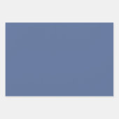 Abstracte Elegante herfstpompoen stoffige blauwe b Inpakpapier Vel (Voorkant 2)