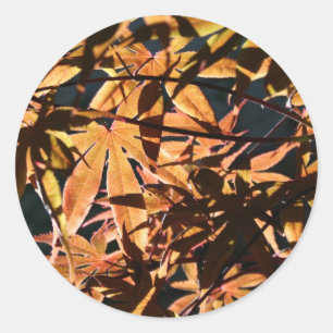 Abstracte en japanse Maple Ronde Sticker
