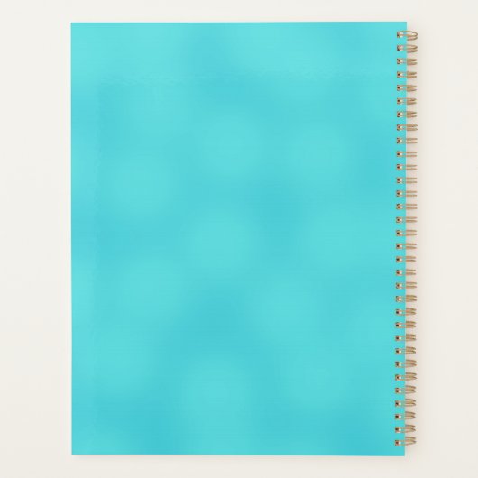 Abstracte felgekleurde scarabeetkever Aqua Blue Planner (Achterkant)