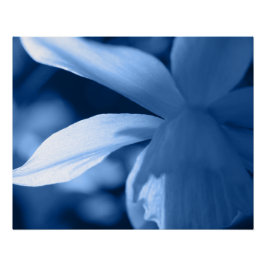 Abstracte Floral met blauwe toned Perfect Poster