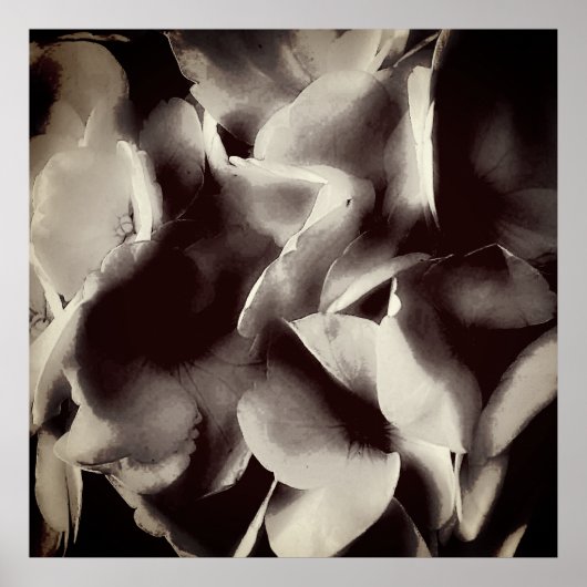 Abstracte Floral Poster (Voorkant)