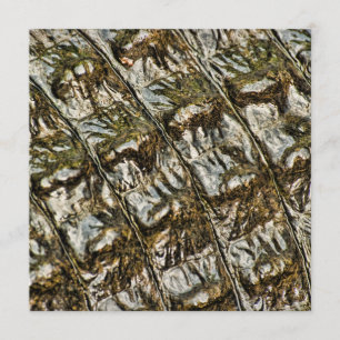 Abstracte foto natte alligator achterzijde kaart