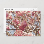 Abstracte foto van een roze Tulp-boom Briefkaart (Voorkant / Achterkant)