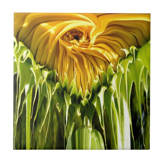 Abstracte funky retro Zonnebloem, bange geometrie Tegeltje (Voorkant)