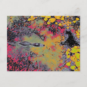 Abstracte gator briefkaart