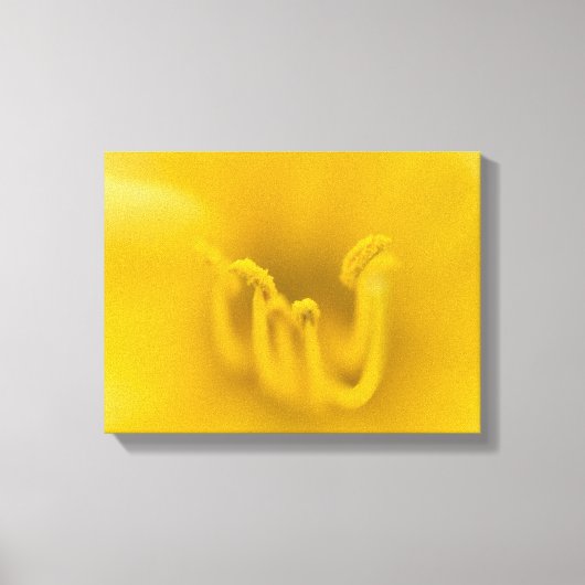 Abstracte gele hibiscus flower canvas afdruk (Voorkant)