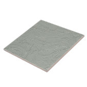 Abstracte Gips Kwast Textuur Sage ID1287 Tegeltje (Zijkant)