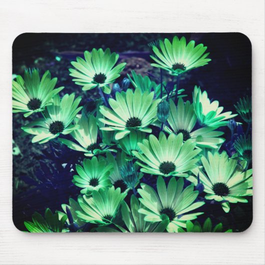Abstracte Green Daisies Flower Art Muismat (Voorkant)