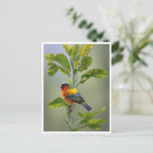 Abstracte grillige vogel op boomtak briefkaart (Staand voorkant)