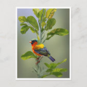 Abstracte grillige vogel op boomtak briefkaart (Voorkant)