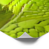 Abstracte Hagedis Huid Poster (Hoek)