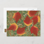 Abstracte herfst esdoorn bladeren op grond Briefka Briefkaart (Voorkant / Achterkant)