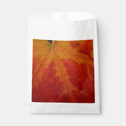Abstracte herfst-natuurfotografie van rode esdoorn bedankzakje (Voorkant)