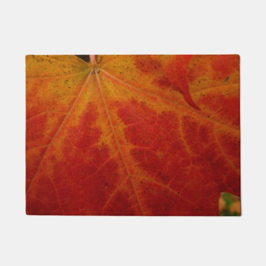 Abstracte herfst-natuurfotografie van rode esdoorn deurmat (Voorkant)