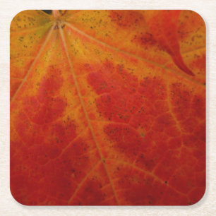 Abstracte herfst-natuurfotografie van rode esdoorn kartonnen onderzetters