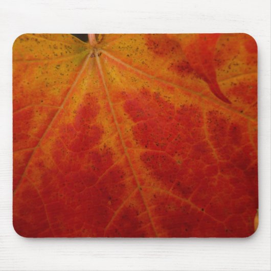 Abstracte herfst-natuurfotografie van rode esdoorn muismat (Voorkant)