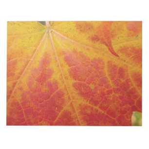 Abstracte herfst-natuurfotografie van rode esdoorn notitieblok