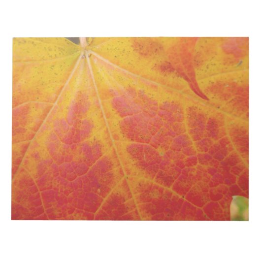 Abstracte herfst-natuurfotografie van rode esdoorn notitieblok (Voorkant)