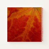 Abstracte herfst-natuurfotografie van rode esdoorn notitieboek (Achterkant)