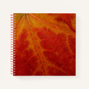 Abstracte herfst-natuurfotografie van rode esdoorn notitieboek
