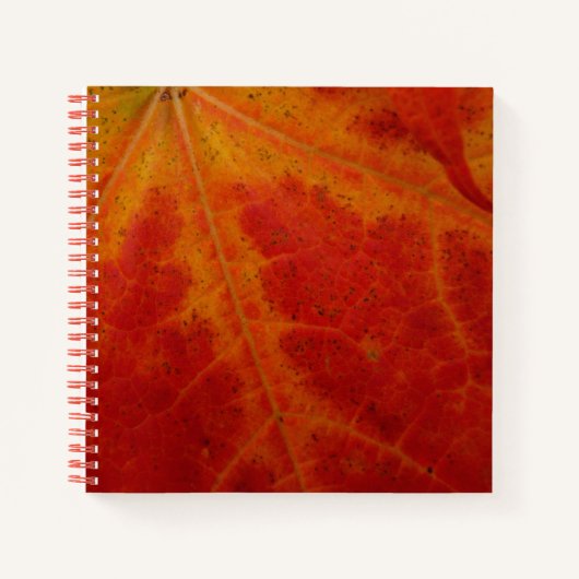 Abstracte herfst-natuurfotografie van rode esdoorn notitieboek (Voorkant)