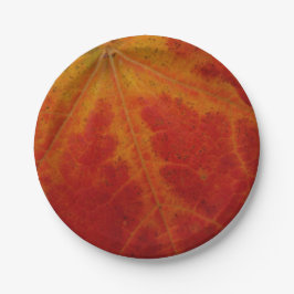 Abstracte herfst-natuurfotografie van rode esdoorn papieren bordje
