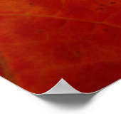 Abstracte herfst-natuurfotografie van rode esdoorn poster (Hoek)