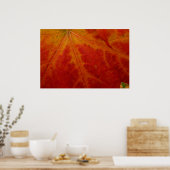 Abstracte herfst-natuurfotografie van rode esdoorn poster (Keuken)