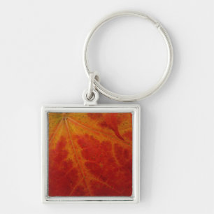 Abstracte herfst-natuurfotografie van rode esdoorn sleutelhanger