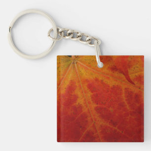Abstracte herfst-natuurfotografie van rode esdoorn sleutelhanger