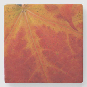 Abstracte herfst-natuurfotografie van rode esdoorn stenen onderzetter