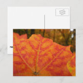Abstracte herfst Sinaasappel- en Rode Maple Natuur Briefkaart (Voorkant / Achterkant)