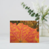 Abstracte herfst Sinaasappel- en Rode Maple Natuur Briefkaart (Staand voorkant)