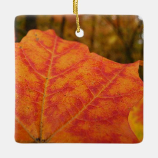 Abstracte herfst Sinaasappel- en Rode Maple Natuur Keramisch Ornament (Voorkant)